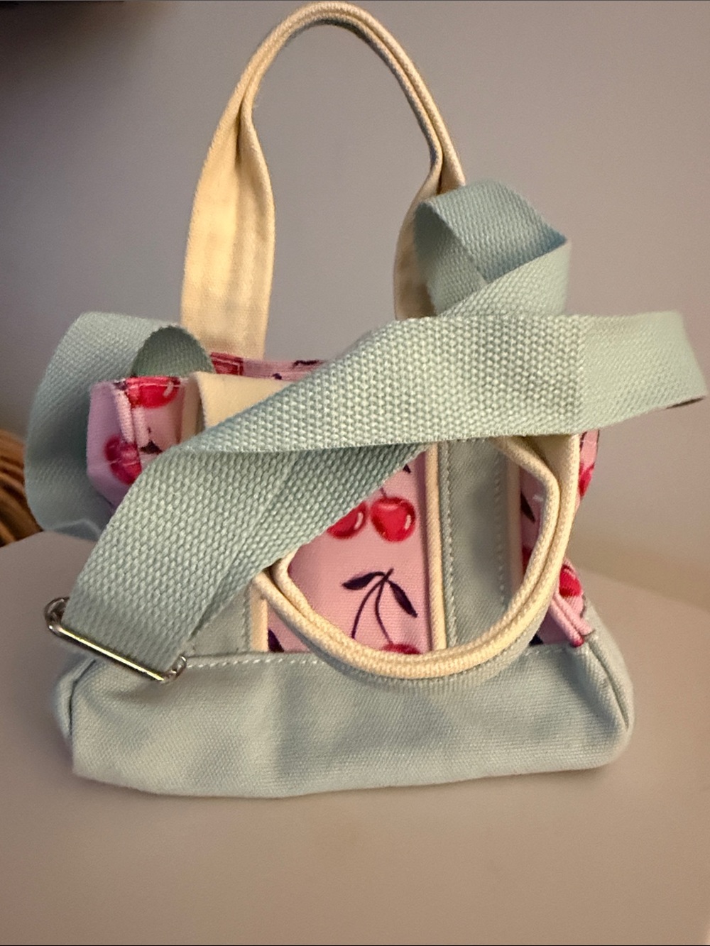 NWOT Urban Outfitters Pink Cherry Mini Bag with Light Blue Handles. - Picture 4 of 5